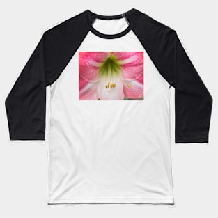 Pink reddish amaryllis Baseball T-Shirt